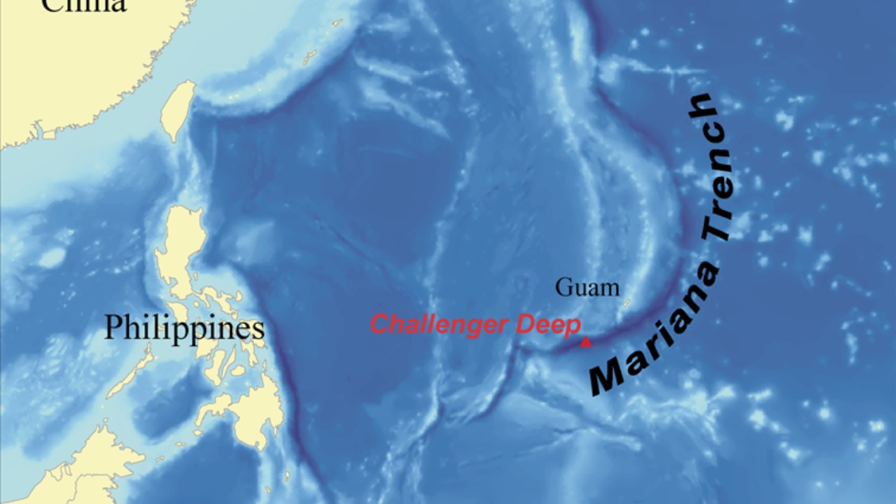 Image Credit: wallace - CC BY 2.5/Wiki Commons