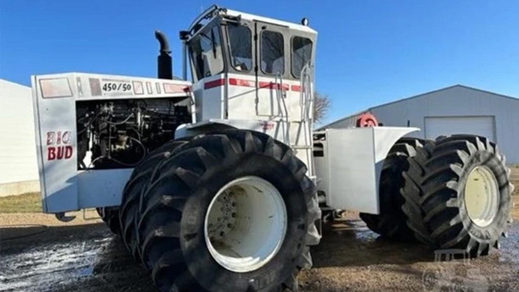 Current Status and Revival Efforts