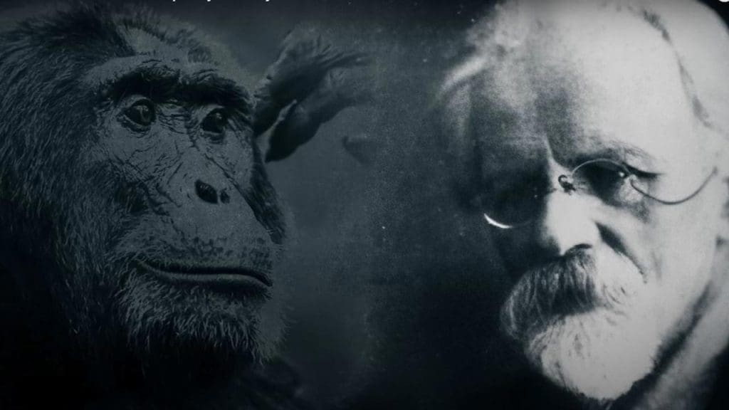 The Soviet Human-Ape Hybrid Experiment