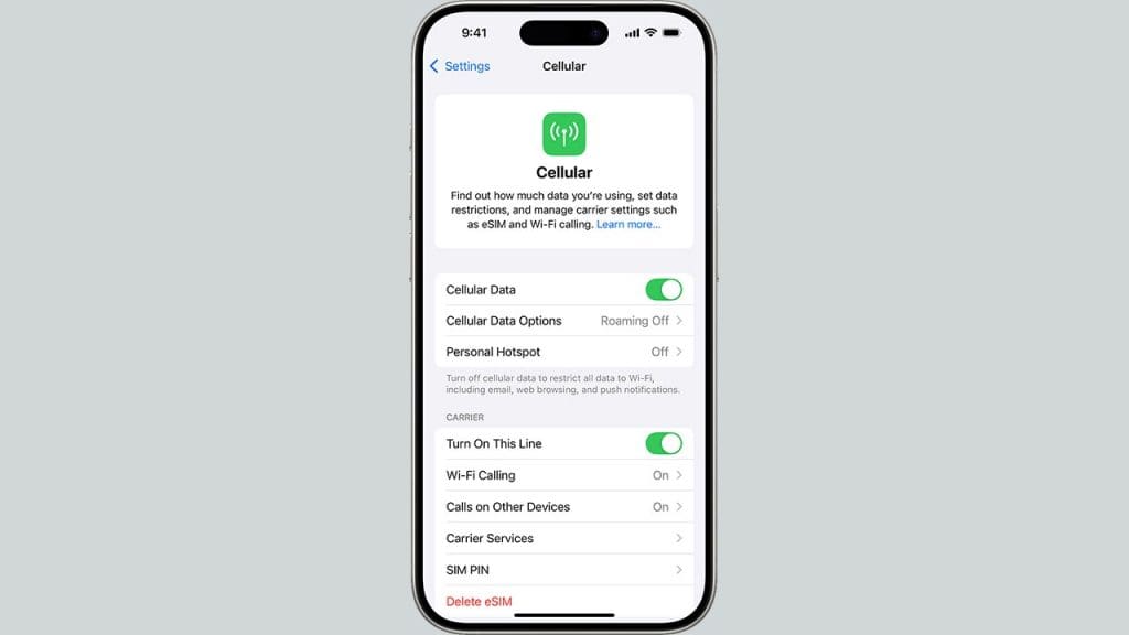 View Your Current Cellular Data Usage