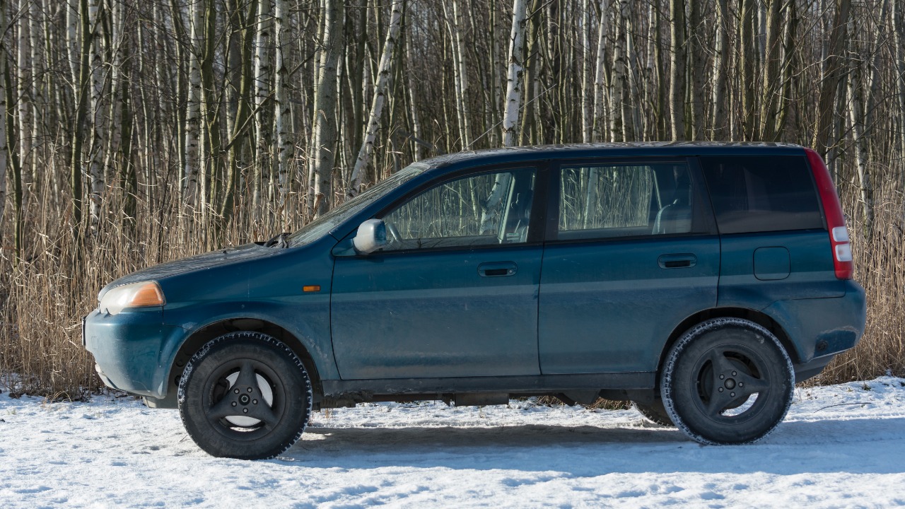 Image Credit: Jacek Halicki - CC BY-SA 4.0/Wiki Commons