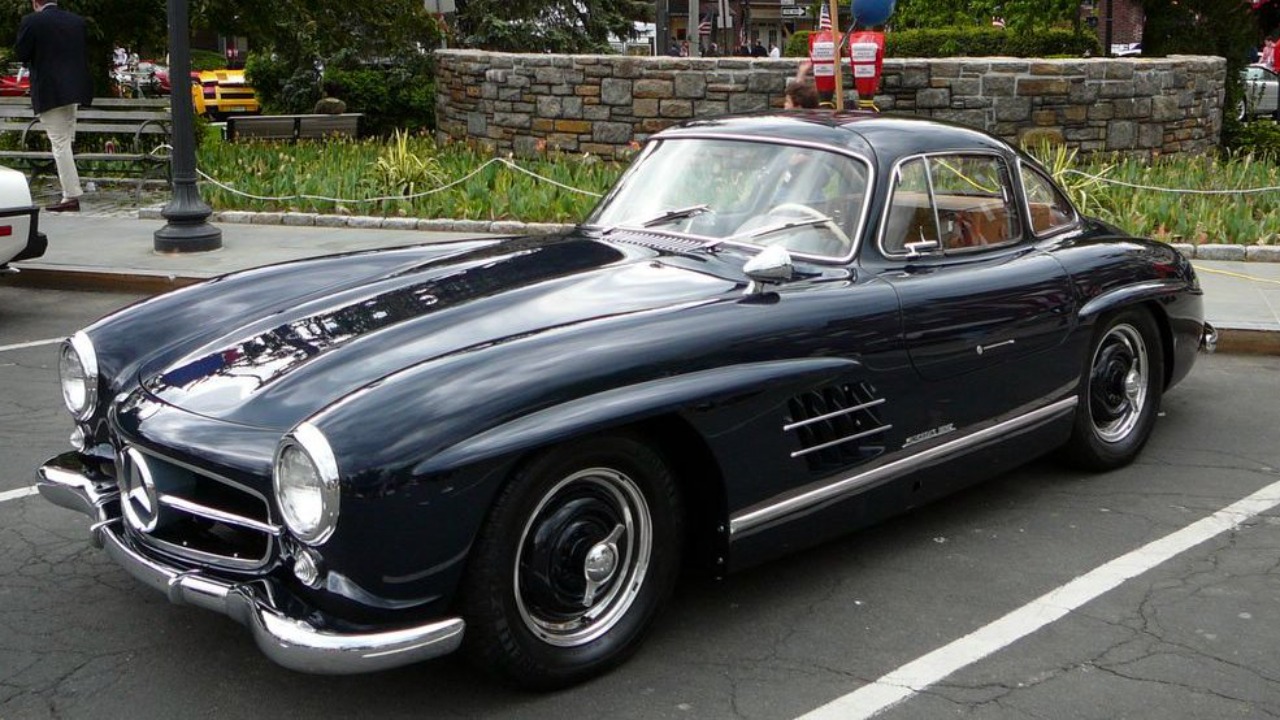 Image Credit: Brett Weinstein (Wikipedia User: Nrbelex) - CC BY 2.5/Wiki Commons