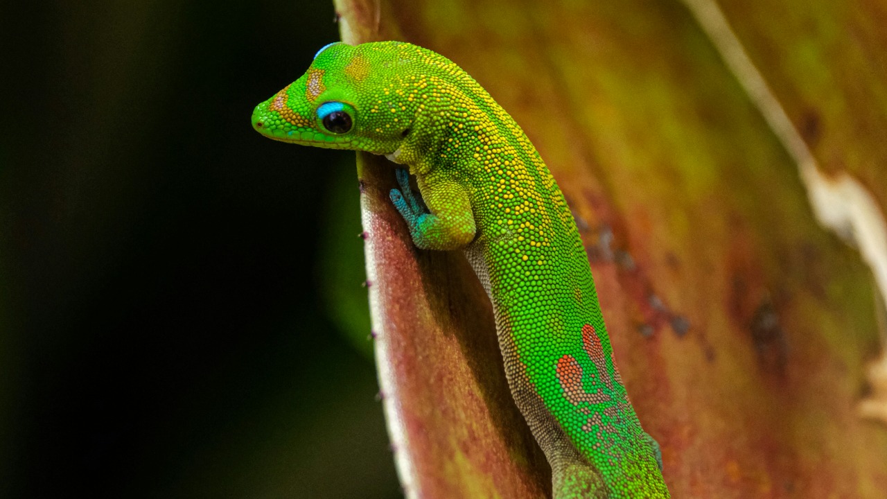 cestmoisheedy/Unsplash