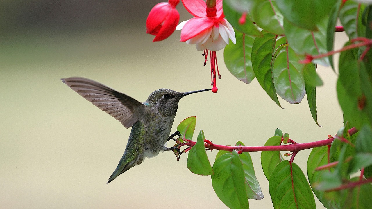 Veronika Andrews/Pexels