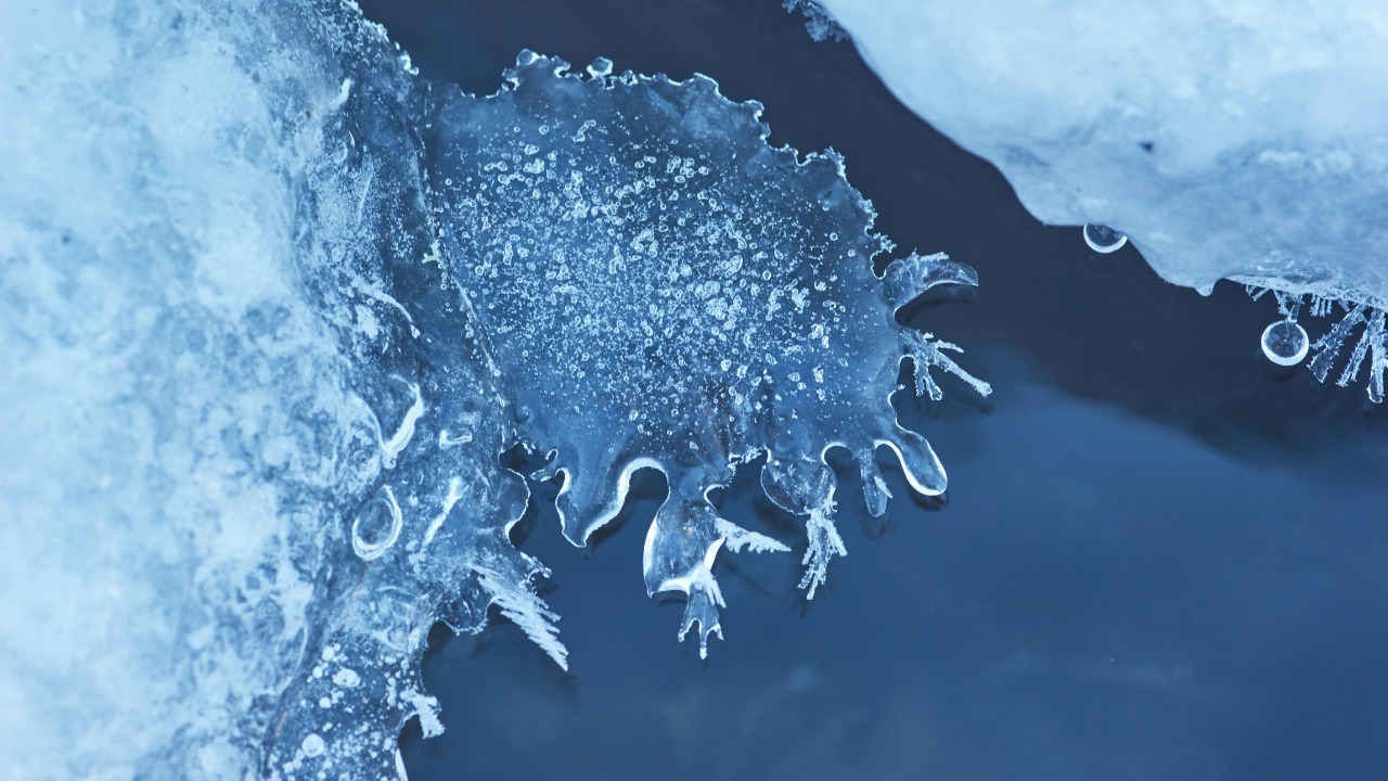 wolfgang_hasselmann/Unsplash