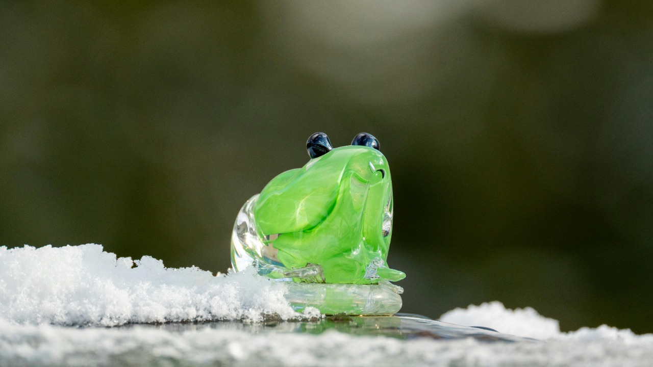 Gundula Vogel/Pexels