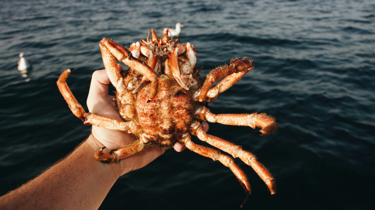 mael_balland/Unsplash