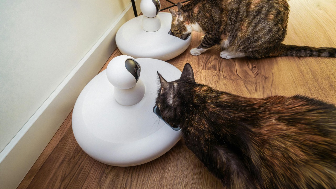 Jakub Zerdzicki/Pexels