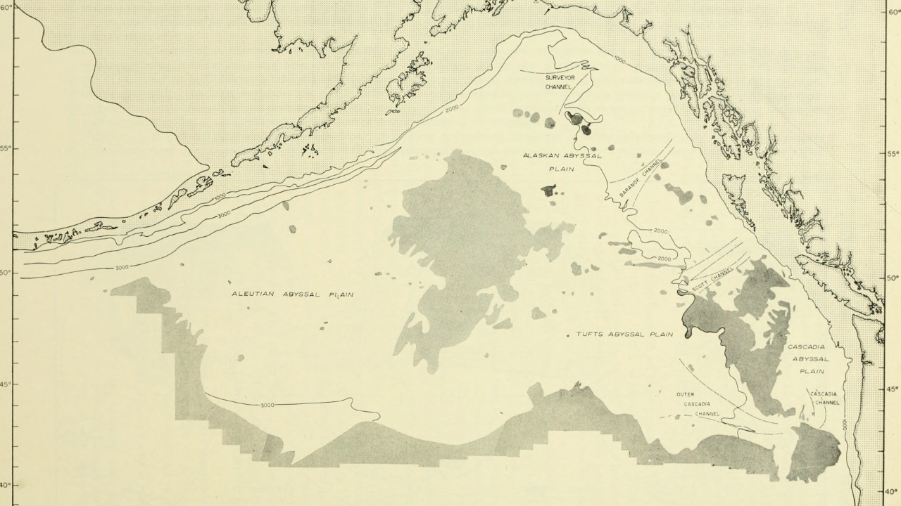 Image Credit: Hill, M. N. (Maurice Neville), 1919- - No restrictions/Wiki Commons