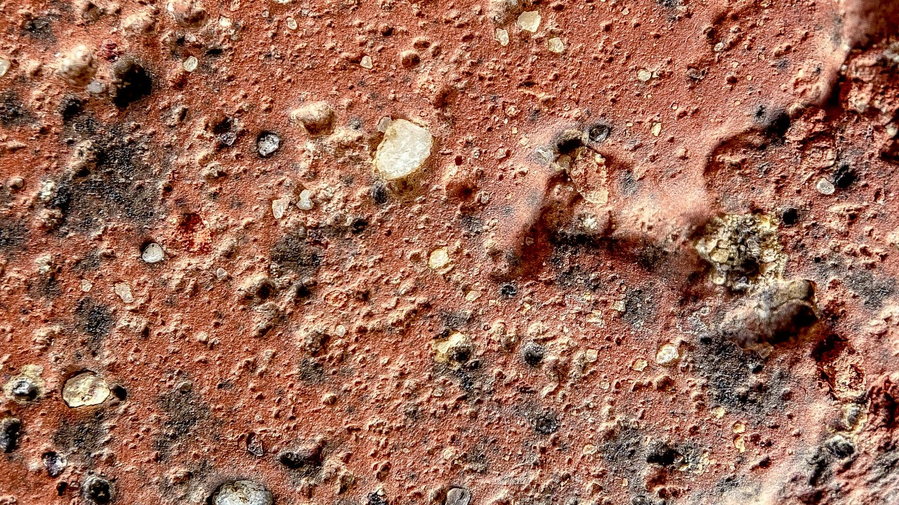 solenfeyissa/Unsplash