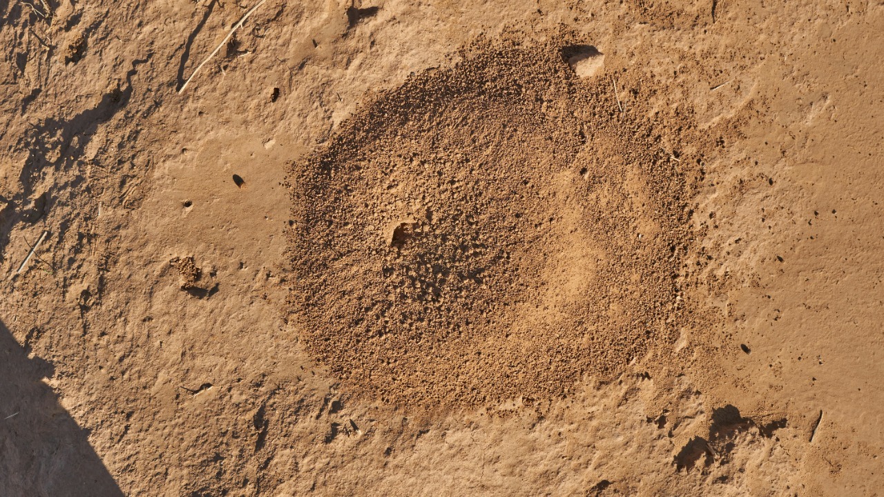 wolfgang_hasselmann/Unsplash