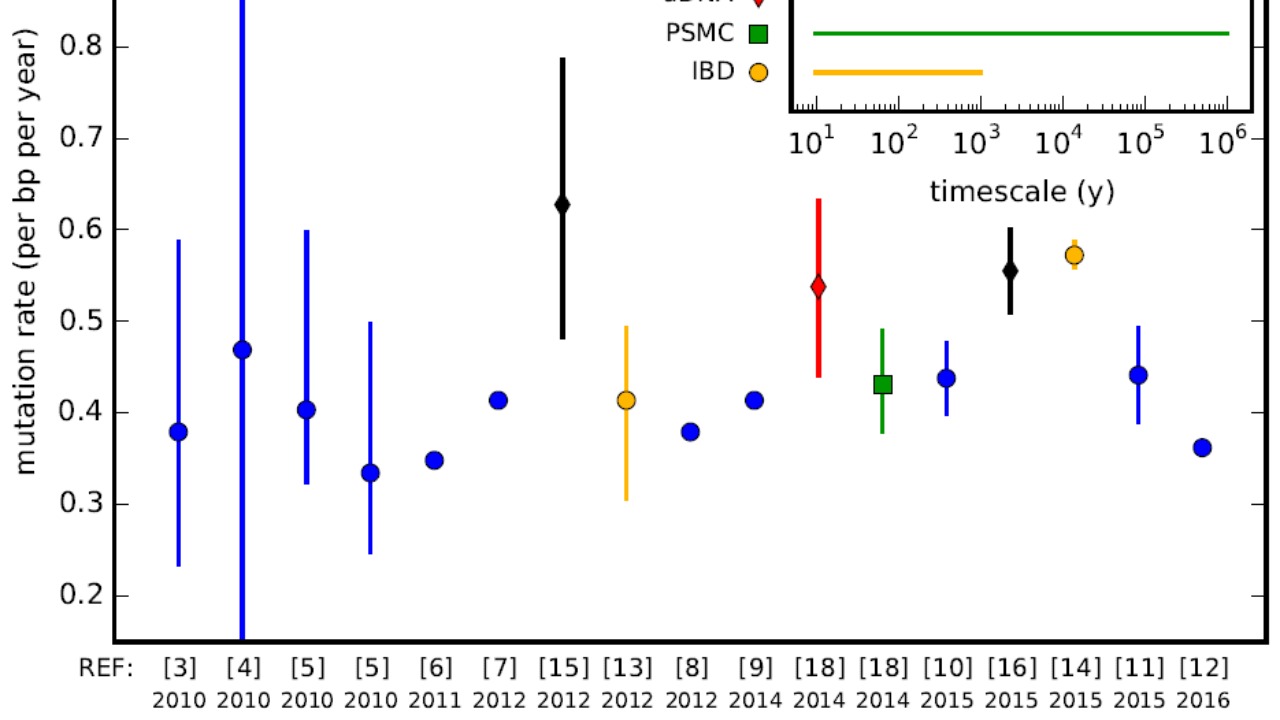 Image Credit: Aylwyn Scally - CC BY 4.0/Wiki Commons