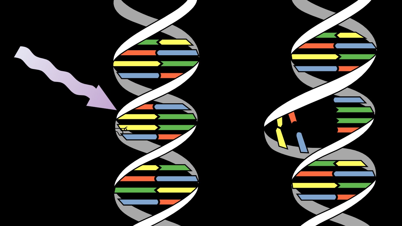 Image Credit: Translation ByUser:Swathivishwakarma - CC0/Wiki Commons