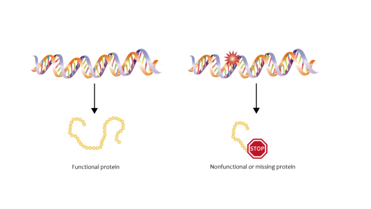 Image Credit: Genomics Education Programme - CC BY 2.0/Wiki Commons