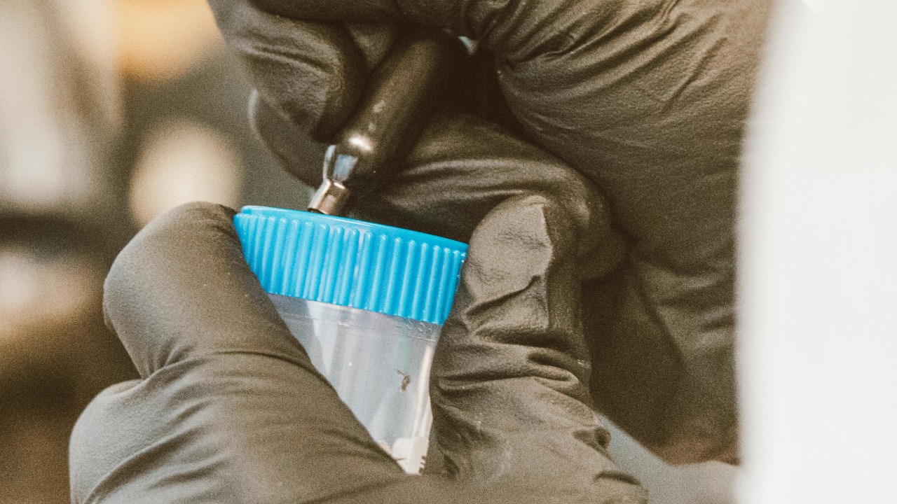 Jess Loiterton/Pexels