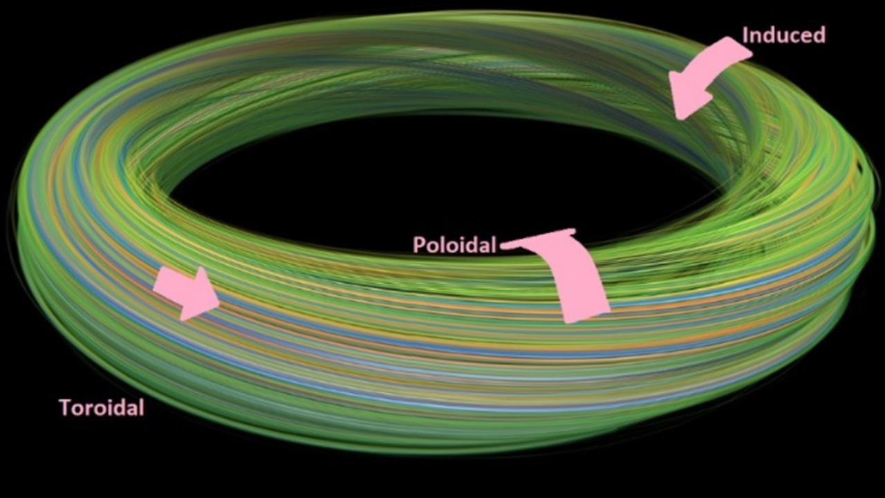Image Credit: WikiHelper2221 - CC BY-SA 4.0/Wiki Commons