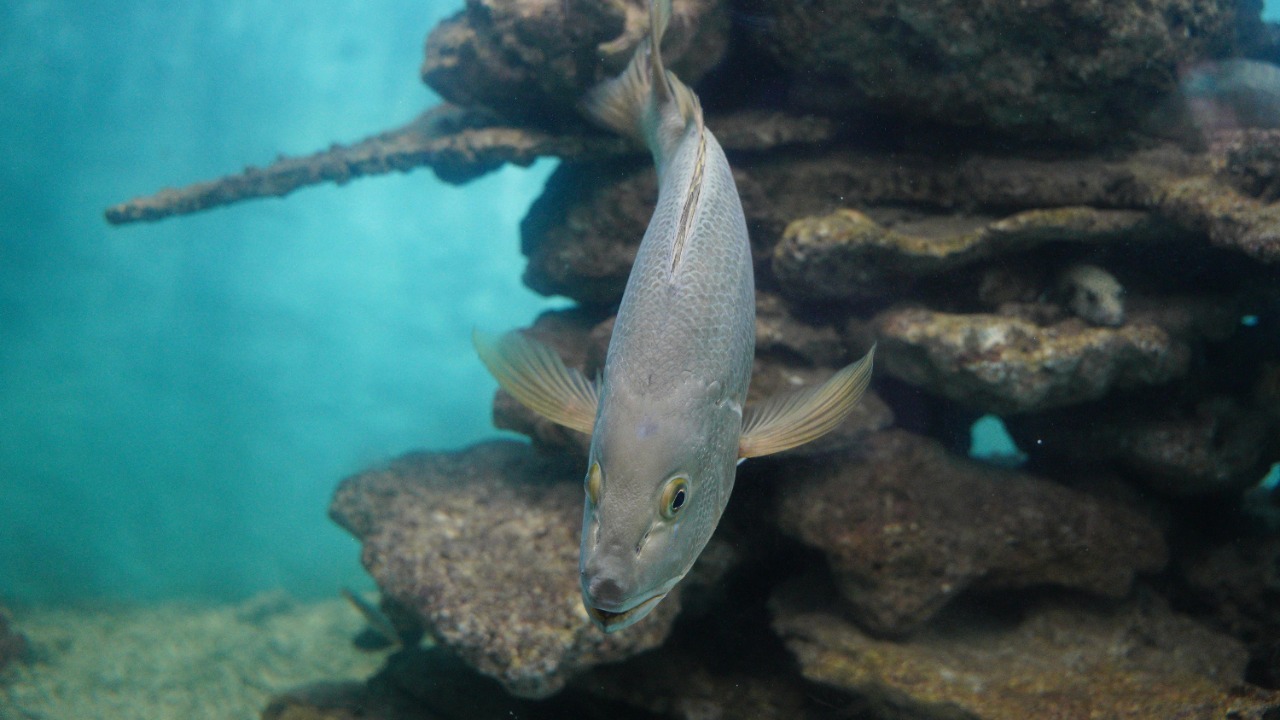 NGUYỄN THÀNH NHƠN/Pexels