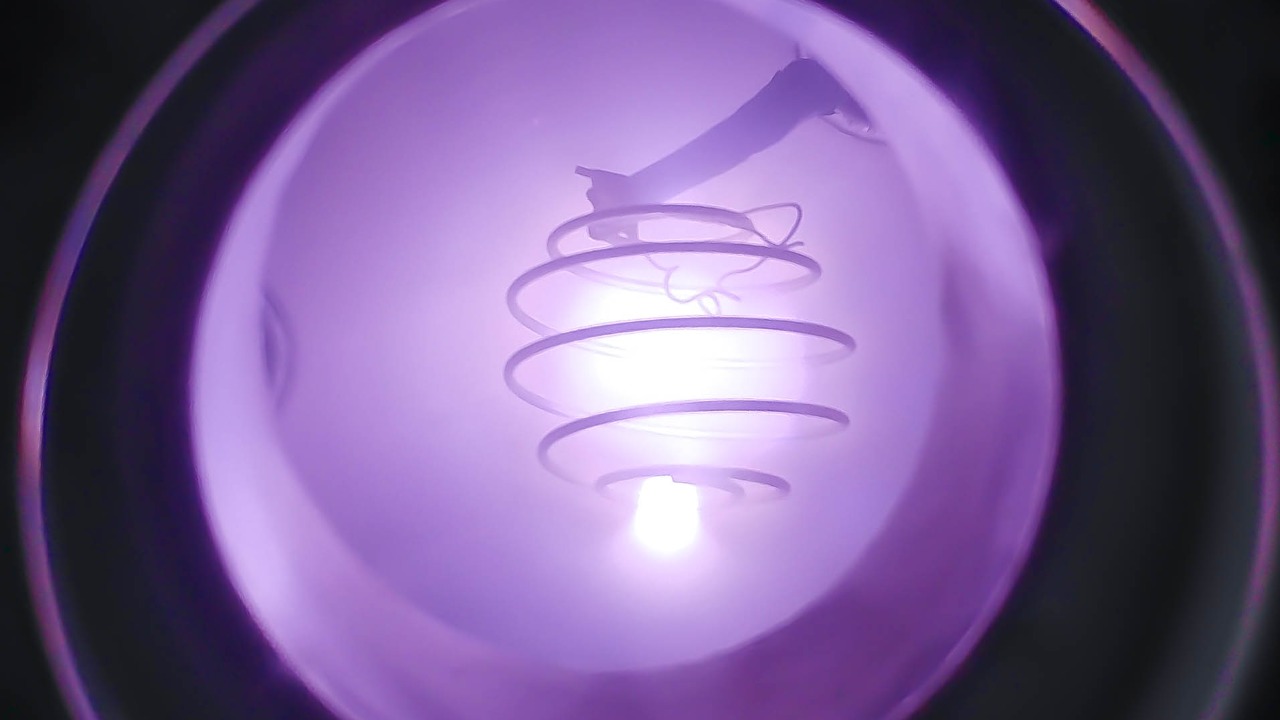 Image Credit: Samuel Low - CC BY 4.0/Wiki Commons