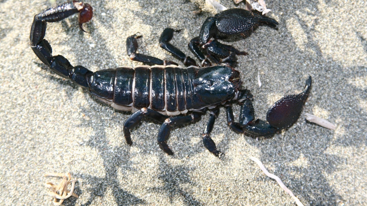 socialmediadacor/Unsplash