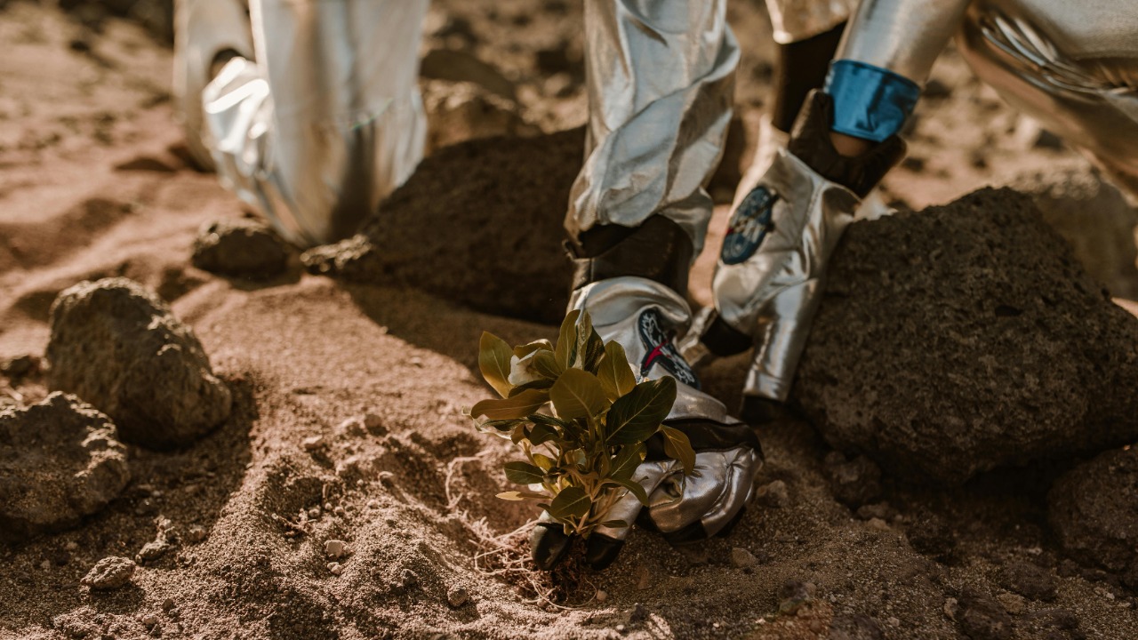 RDNE Stock project/Pexels