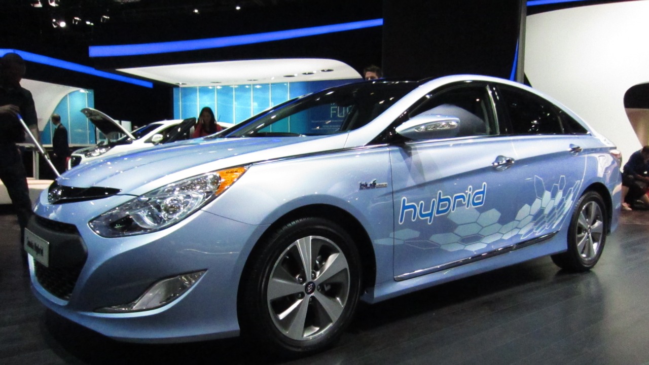 Image Credit: Rutger van der Maar - CC BY 2.0/Wiki Commons