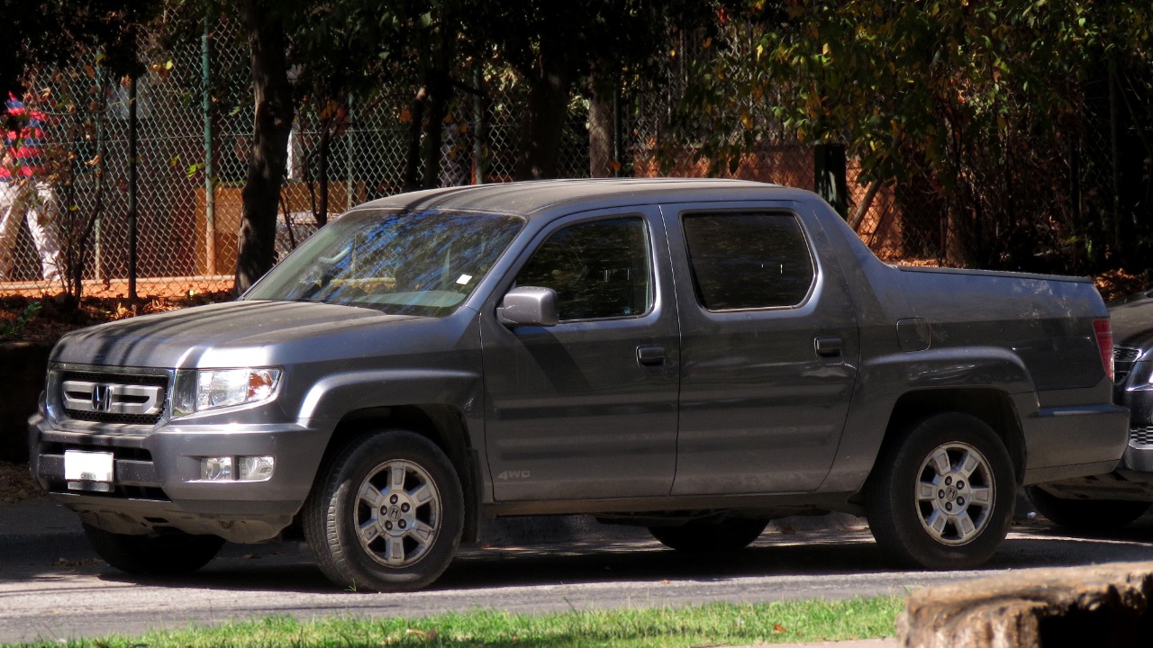 Image Credit: RL GNZLZ from Chile - CC BY-SA 2.0/Wiki Commons