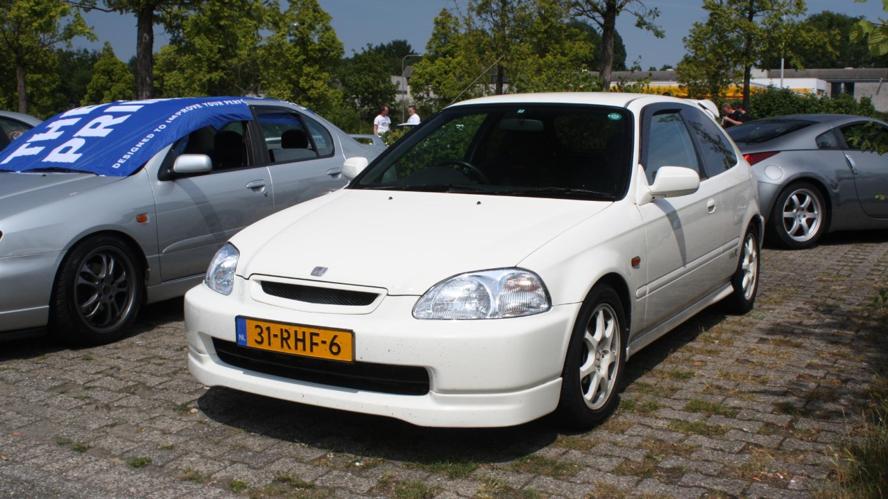 Image Credit: Mark van Seeters - CC BY 2.0/Wiki Commons