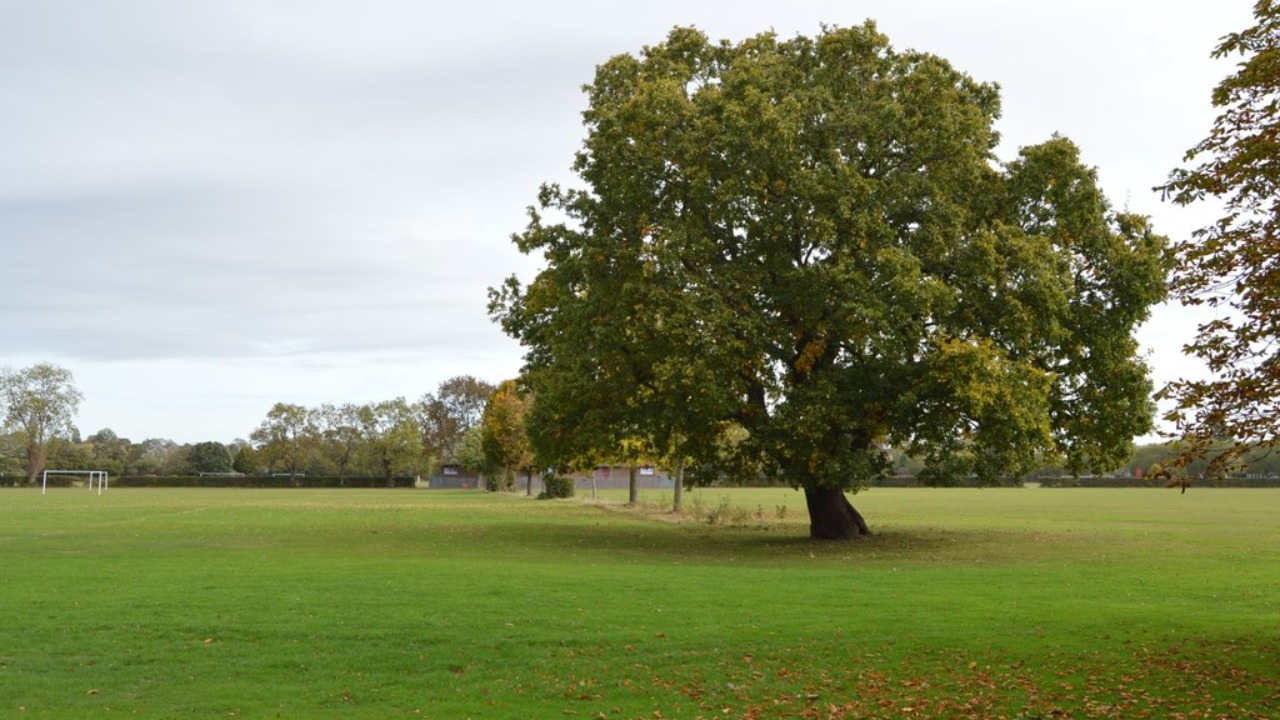 Image Credit: N Chadwick - CC BY-SA 2.0/Wiki Commons