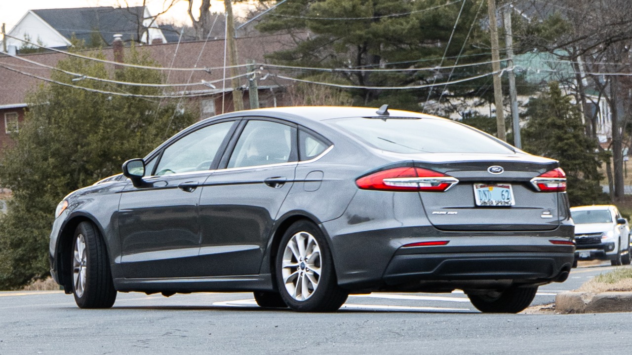 Image Credit: OWS Photography - CC BY 4.0/Wiki Commons