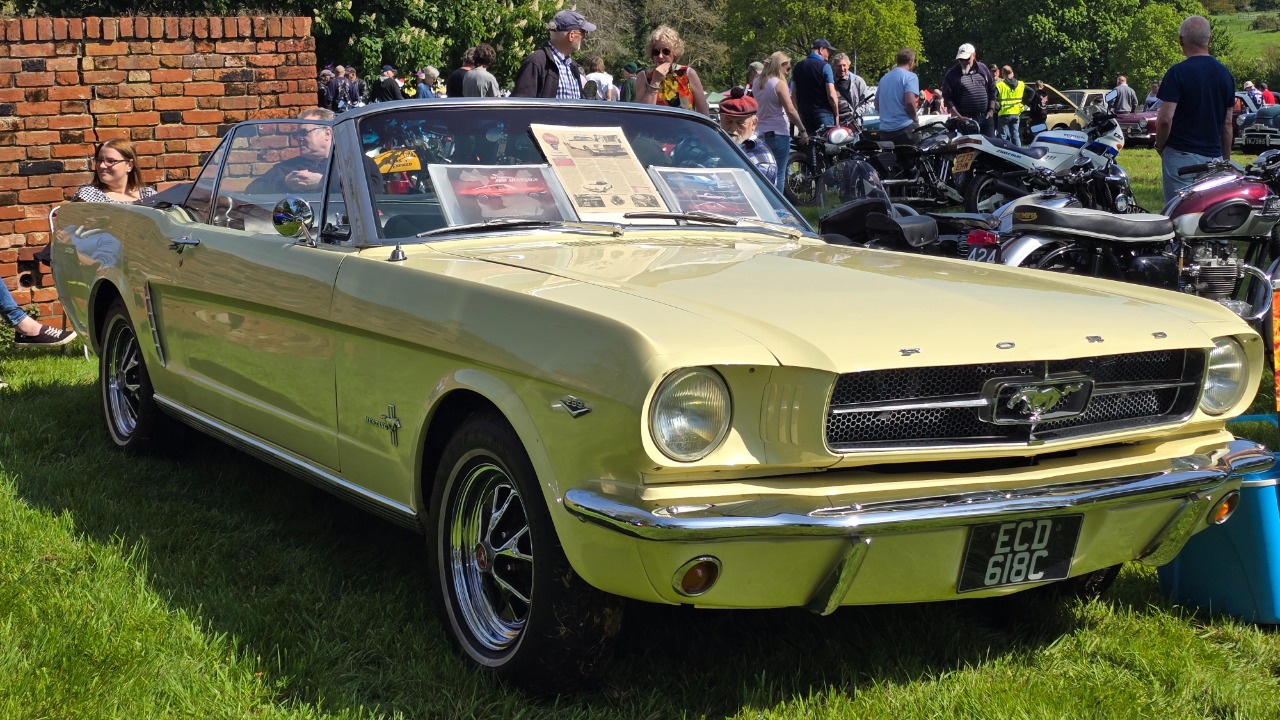 Image Credit: Calreyn88 - CC BY-SA 4.0/Wiki Commons