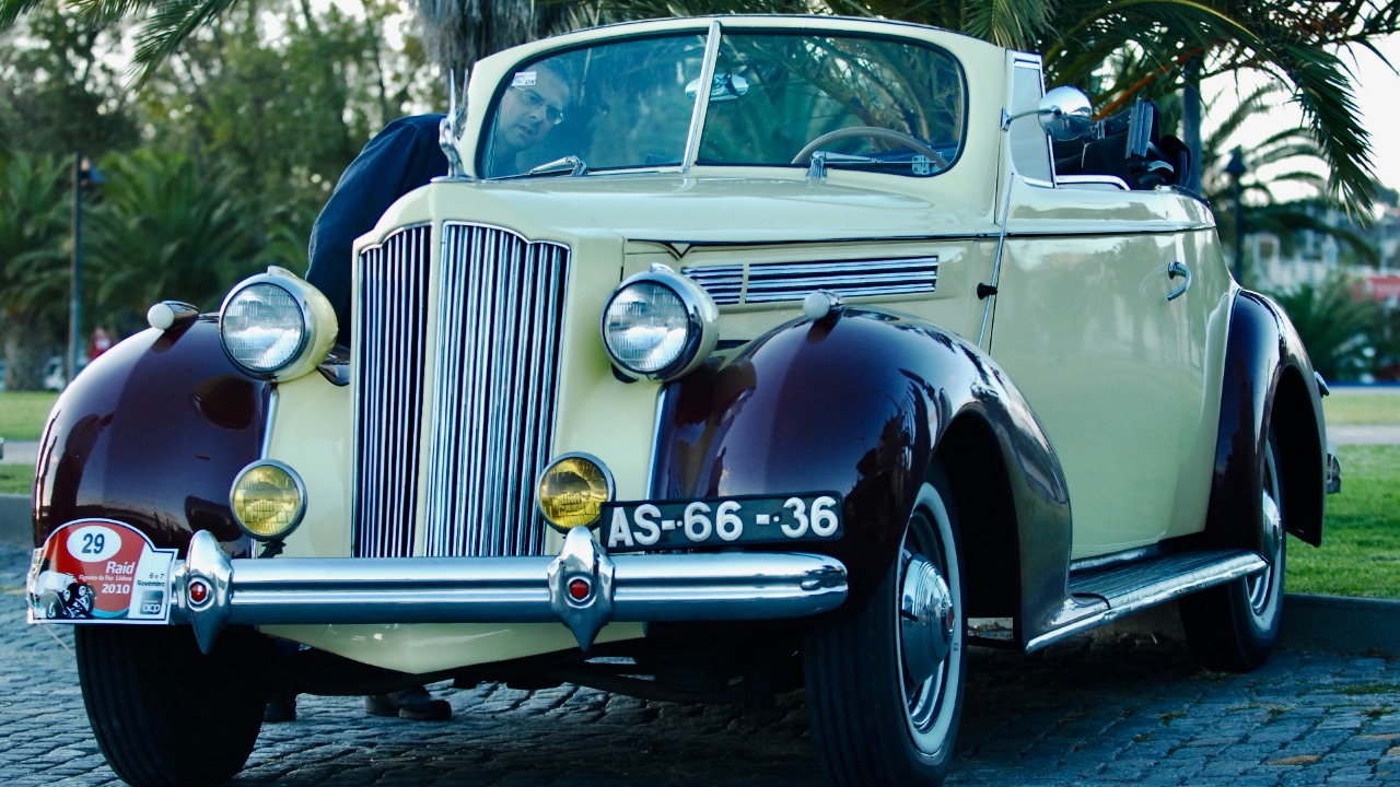 Image Credit: Pedro Ribeiro Simões from Lisboa, Portugal - CC BY 2.0/Wiki Commons