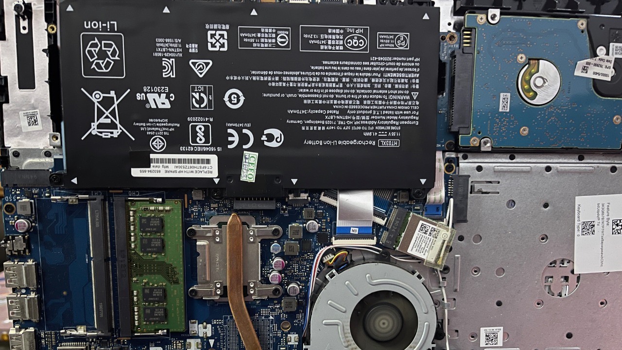 Image Credit: Fawaz.tairou - CC BY-SA 4.0/Wiki Commons