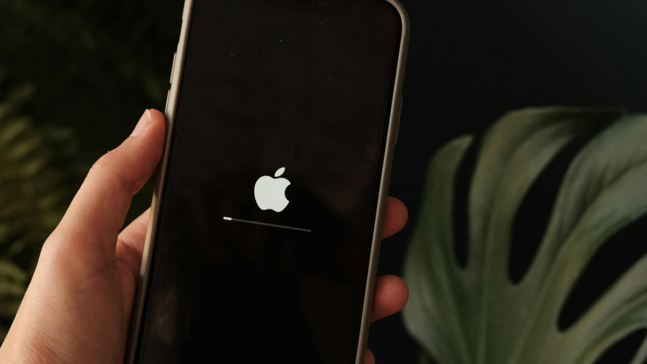 Beyzaa Yurtkuran/Pexels