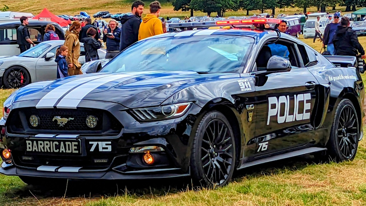 Image Credit: Calreyn88 - CC BY-SA 4.0/Wiki Commons