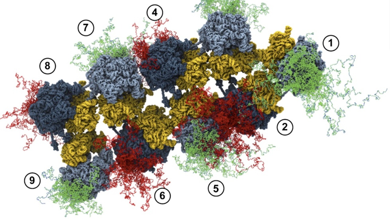 Image Credit: jurvetson - CC BY 2.0/Wiki Commons