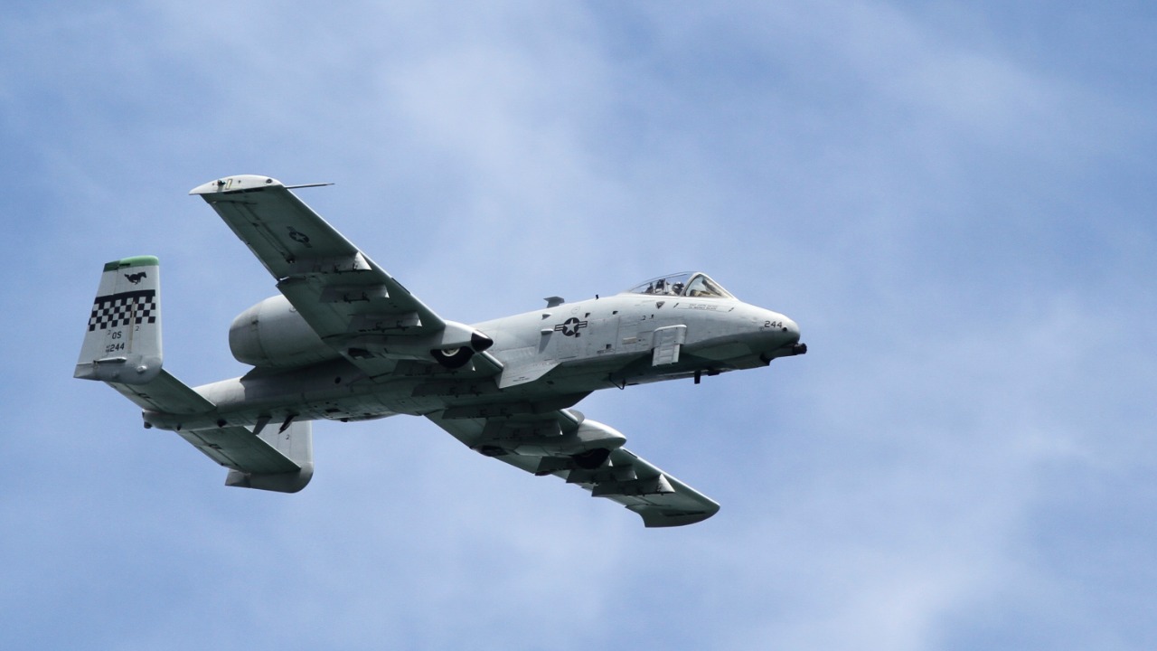 Image Credit: Kentaro Iemoto from Tokyo, Japan - CC BY-SA 2.0/Wiki Commons