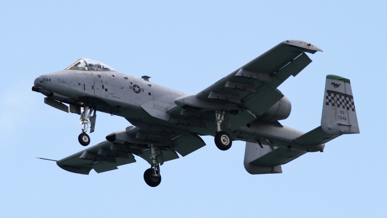 Image Credit: Kentaro Iemoto from Tokyo, Japan - CC BY-SA 2.0/Wiki Commons