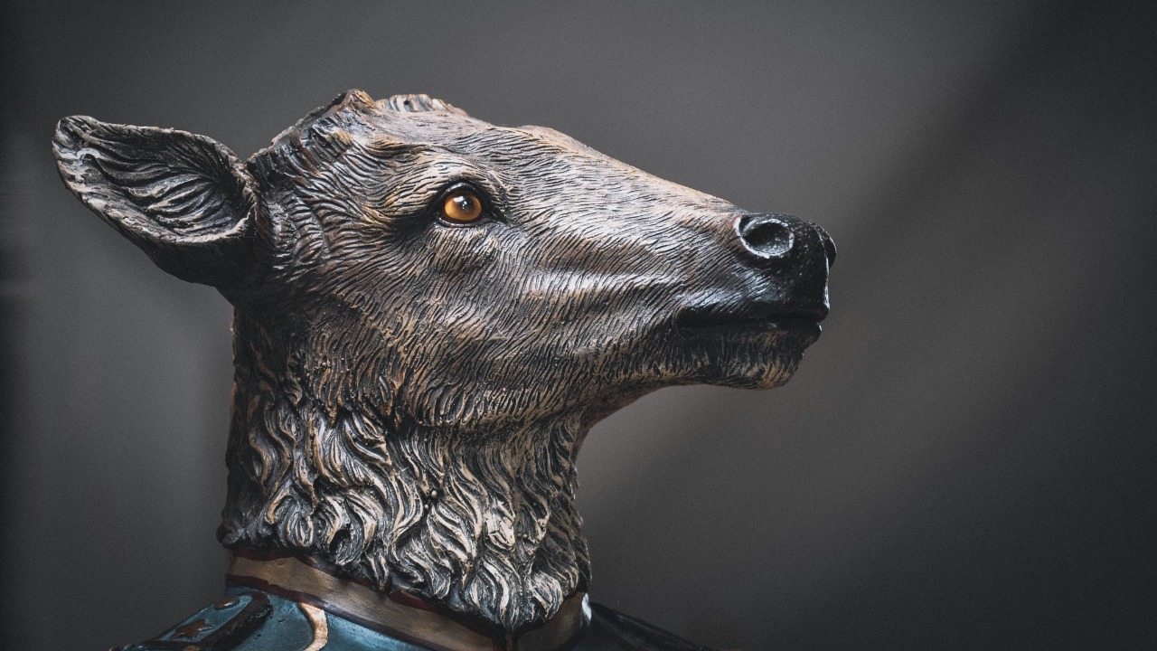 createandbloom/Unsplash