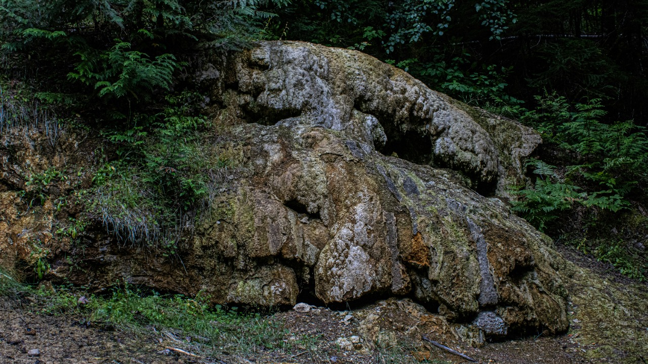 prphotography262/Unsplash