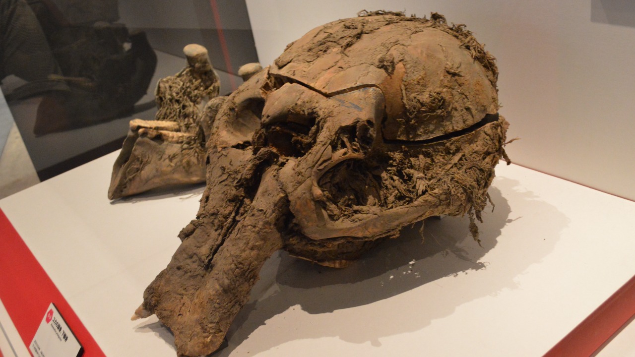 Image Credit: Nandaro - CC BY-SA 3.0/Wiki Commons