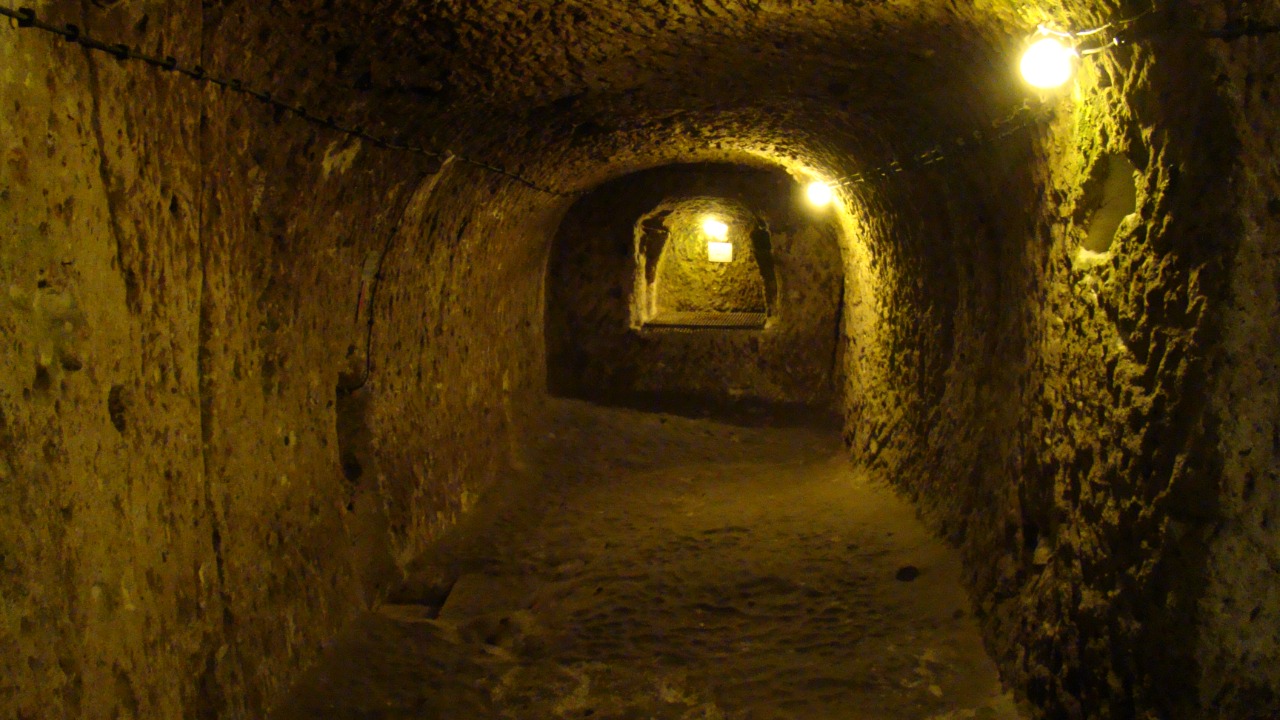 Image Credit: Bjørn Christian Tørrissen - CC BY-SA 3.0/Wiki Commons