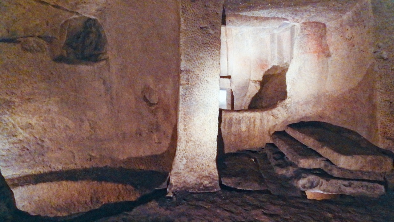 Image Credit: xiquinhosilva - CC BY 2.0/Wiki Commons