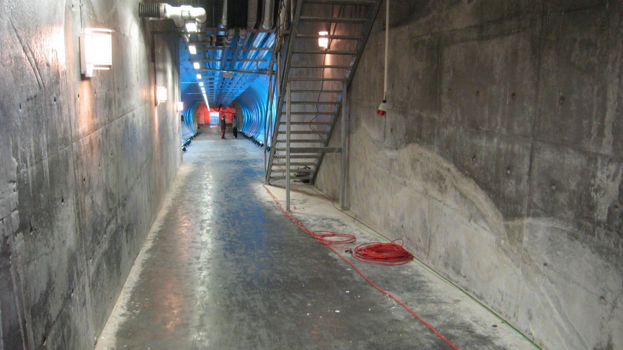 Image Credit: Dag Endresen - CC BY 3.0/Wiki Commons