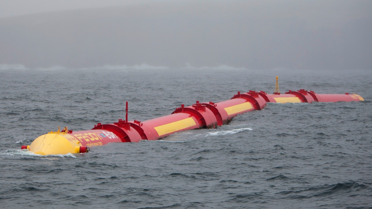 Image Credit: Scottish Government - CC BY 2.0/Wiki Commons