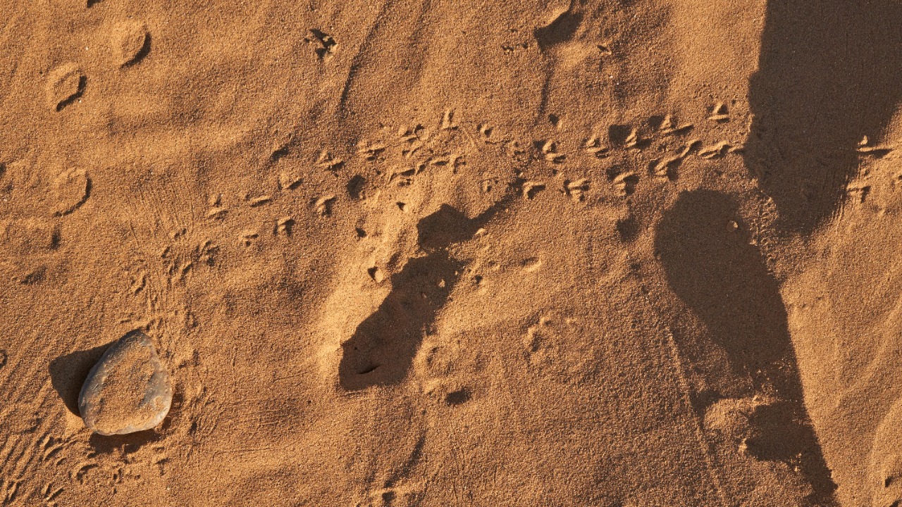 wolfgang_hasselmann/Unsplash