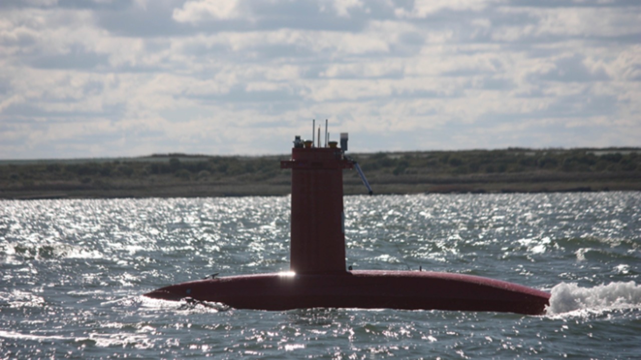 Image Credit: NOAA Fisheries - Public domain/Wiki Commons