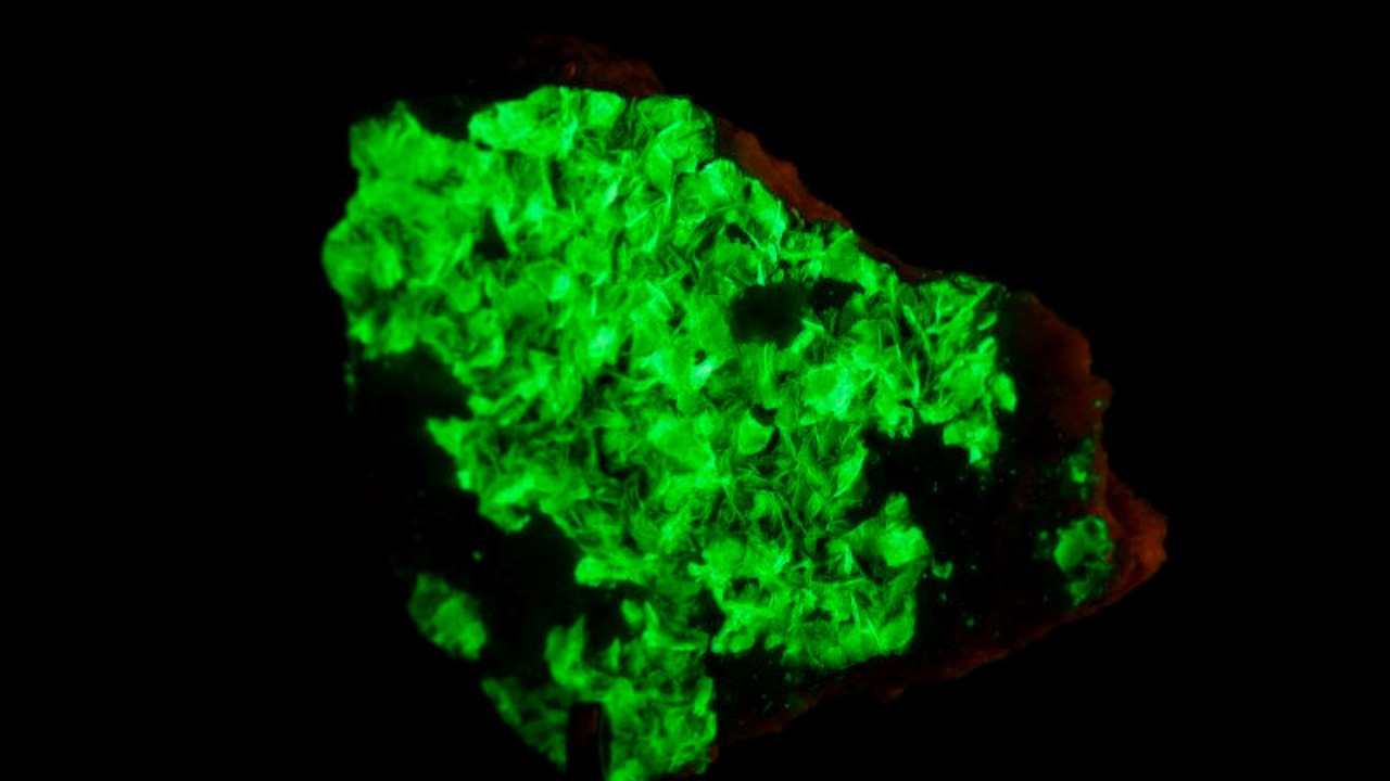 Image Credit: Elahe81 - CC BY-SA 4.0/Wiki Commons