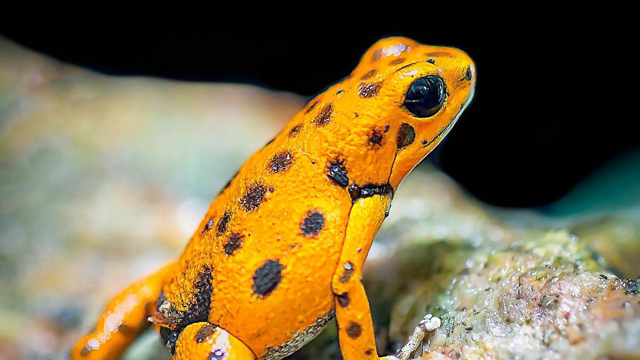 Thierry Fillieul/Pexels