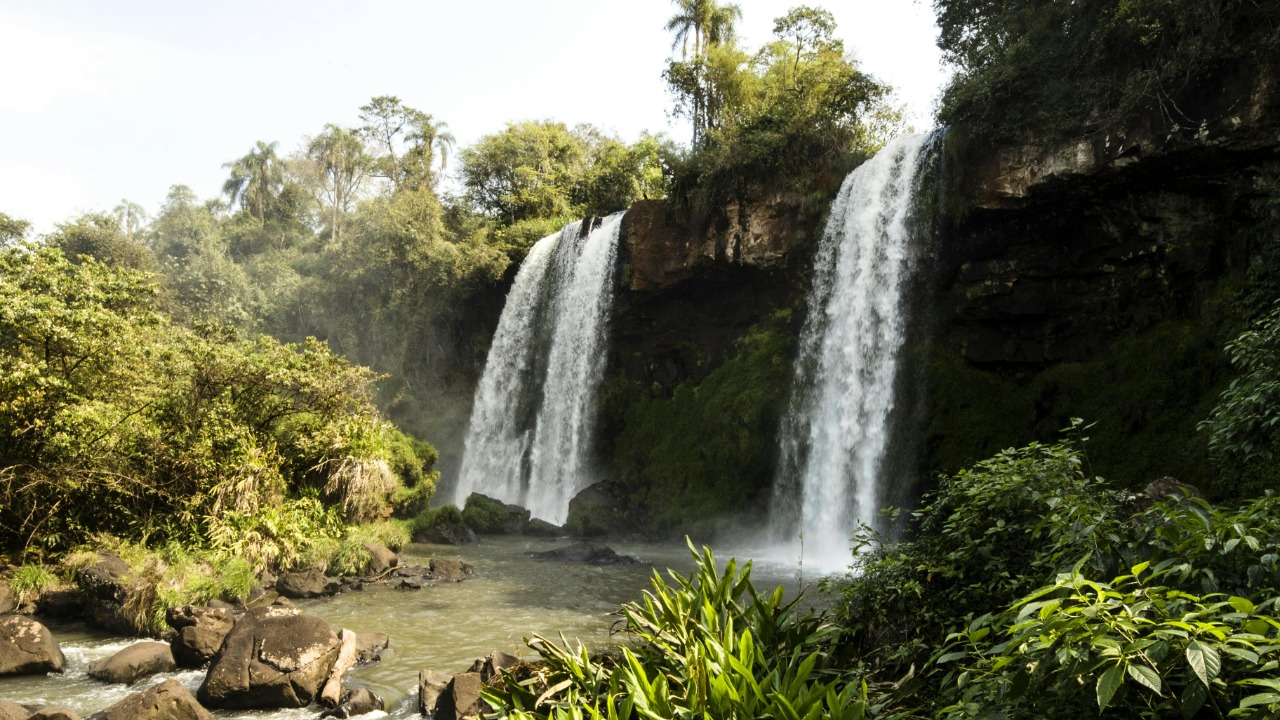 Tomas Anunziata/Pexels