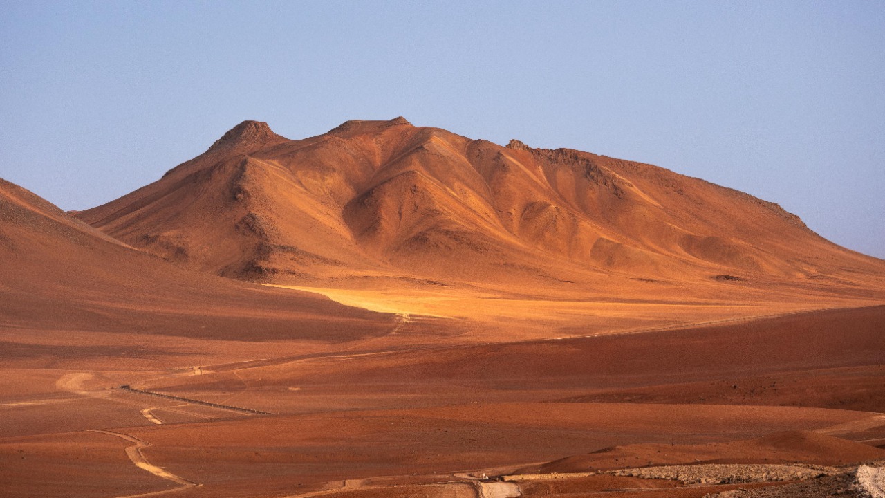 Marek Piwnicki/Pexels